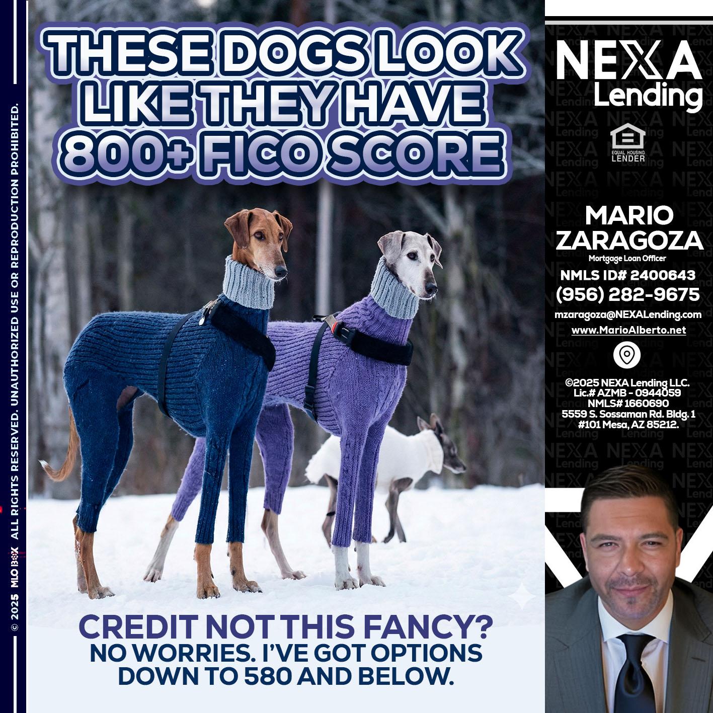 THESE DOGS LOOK - Mario Zaragoza -Mortgage Loan Officer